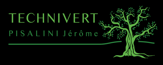 Technivert logo